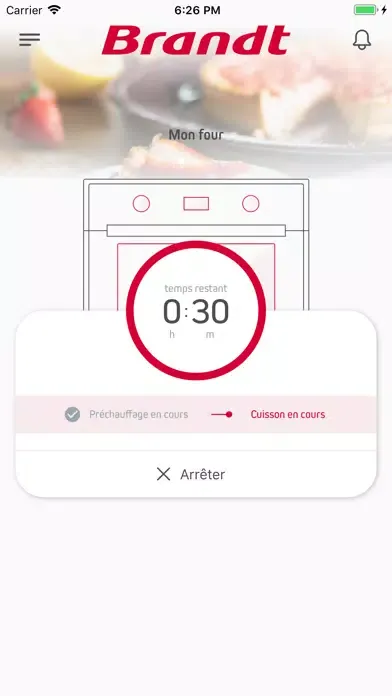 Brandt Smart Control Screenshots