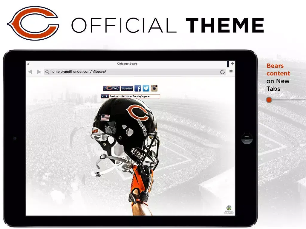 Bears Web iPad 應用截圖