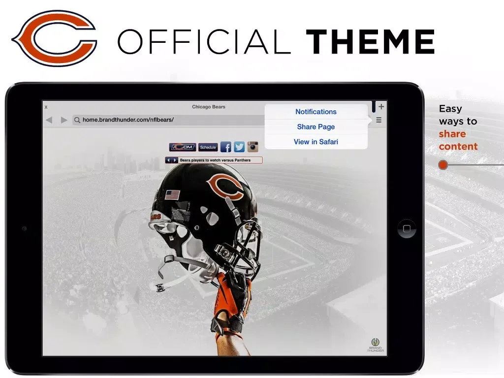 Bears Web iPad 應用截圖