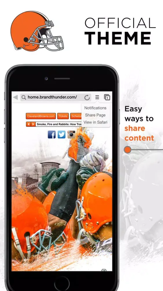 Browns Web Screenshots