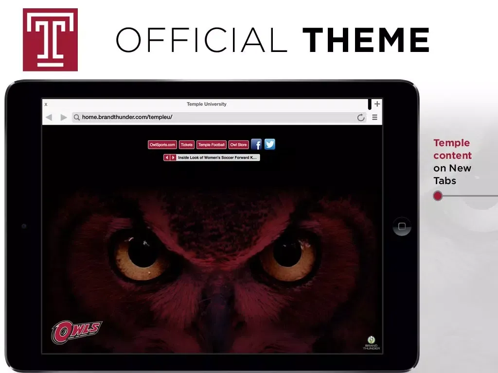 Capturas de tela do Temple Owls Web iPad 