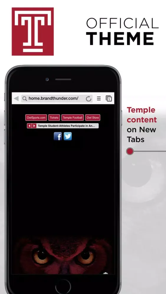 Capturas de tela do Temple Owls Web