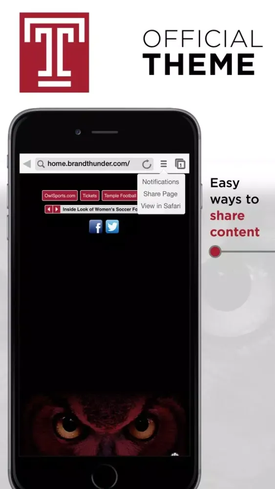 Capturas de tela do Temple Owls Web