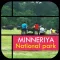 Minneriya National Park