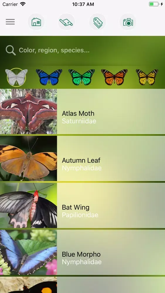 Capturas de tela do Fairchild Tropical Garden