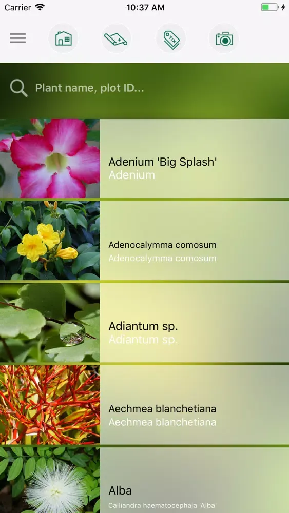 Capturas de tela do Fairchild Tropical Garden