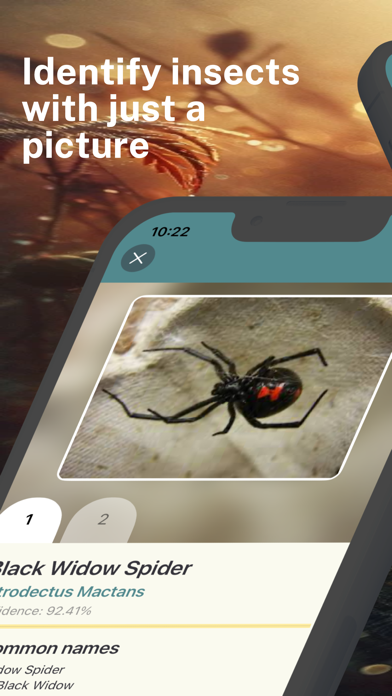 ภาพหน้าจอของ Spider Identifier App