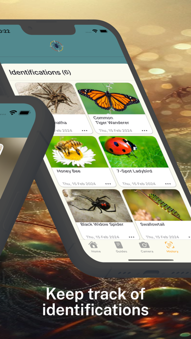 ภาพหน้าจอของ Spider Identifier App