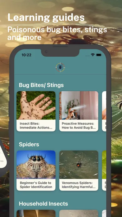Spider Identifier App 스크린샷