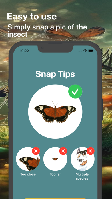 ภาพหน้าจอของ Spider Identifier App