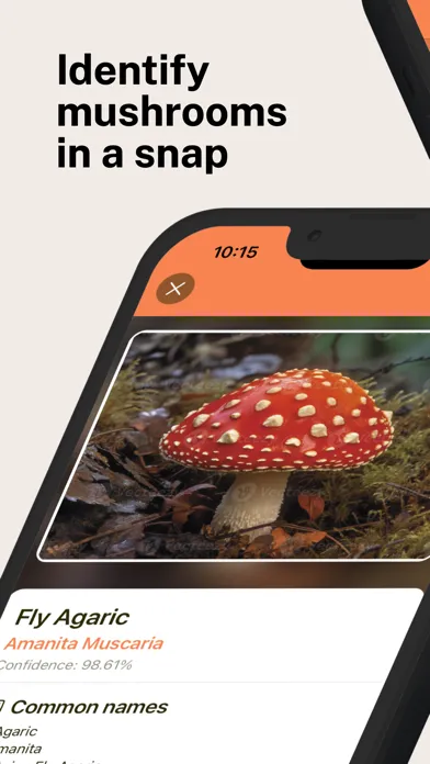 Captures d'écran de Mushroom Identifier Pro