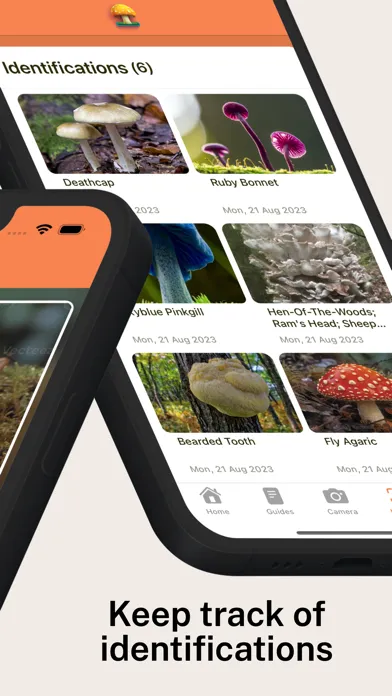 Captures d'écran de Mushroom Identifier Pro