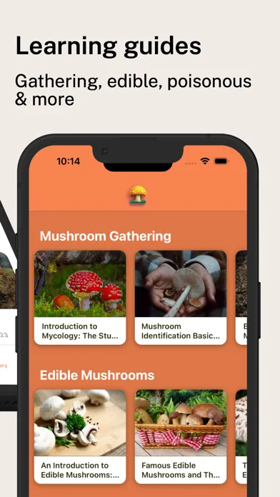 Captures d'écran de Mushroom Identifier Pro