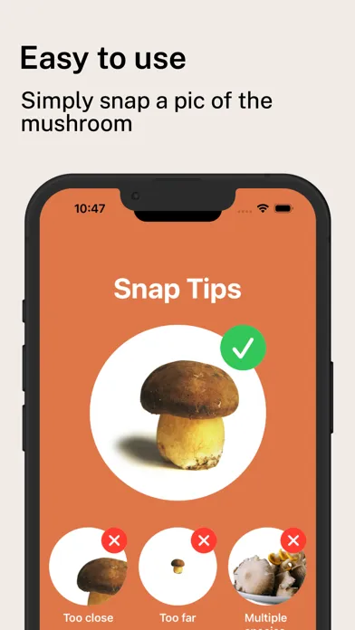 Captures d'écran de Mushroom Identifier Pro