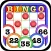 Totally Free-Space Bingo!