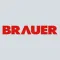 Brauer Service Call Assistant