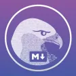Hawkmark