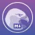 Hawkmark
