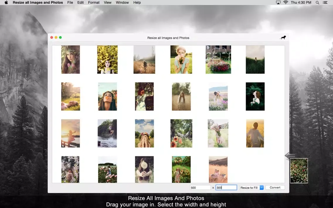 Screenshot di Resize all Images and Photos