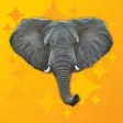 Trumpet Pro - Elephant Sounds