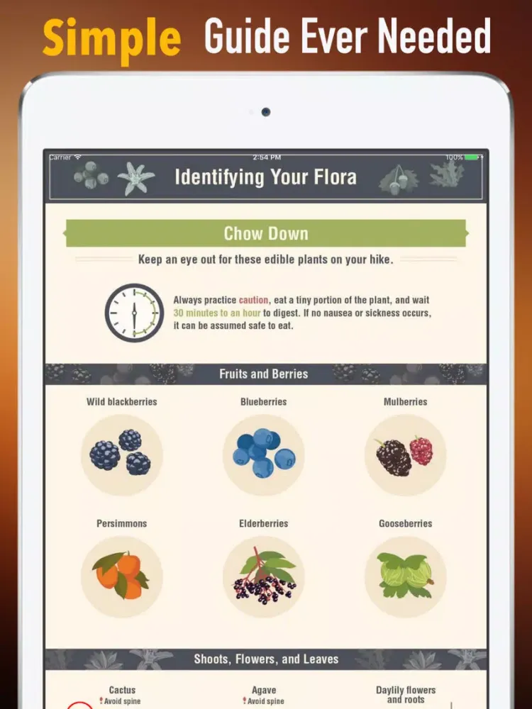 Tangkapan layar What is the Name of This Plant:Education Video iPad 