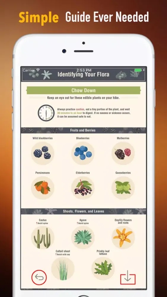 Tangkapan layar What is the Name of This Plant:Education Video