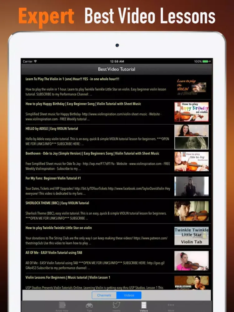 Self Learn Violin for Beginners- Tips and Tutorial iPad 应用截图