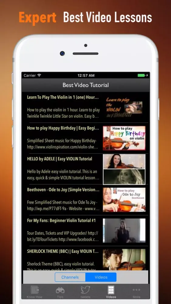 Self Learn Violin for Beginners- Tips and Tutorial应用截图