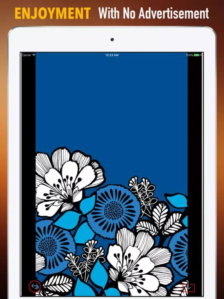 Vera Bradley Wallpapers HD:Quotes,Art Pictures iPad  سکرین شاٹس