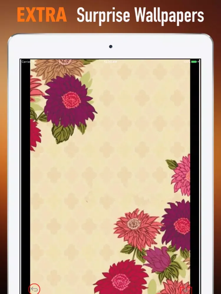 Vera Bradley Wallpapers HD:Quotes,Art Pictures iPad  سکرین شاٹس