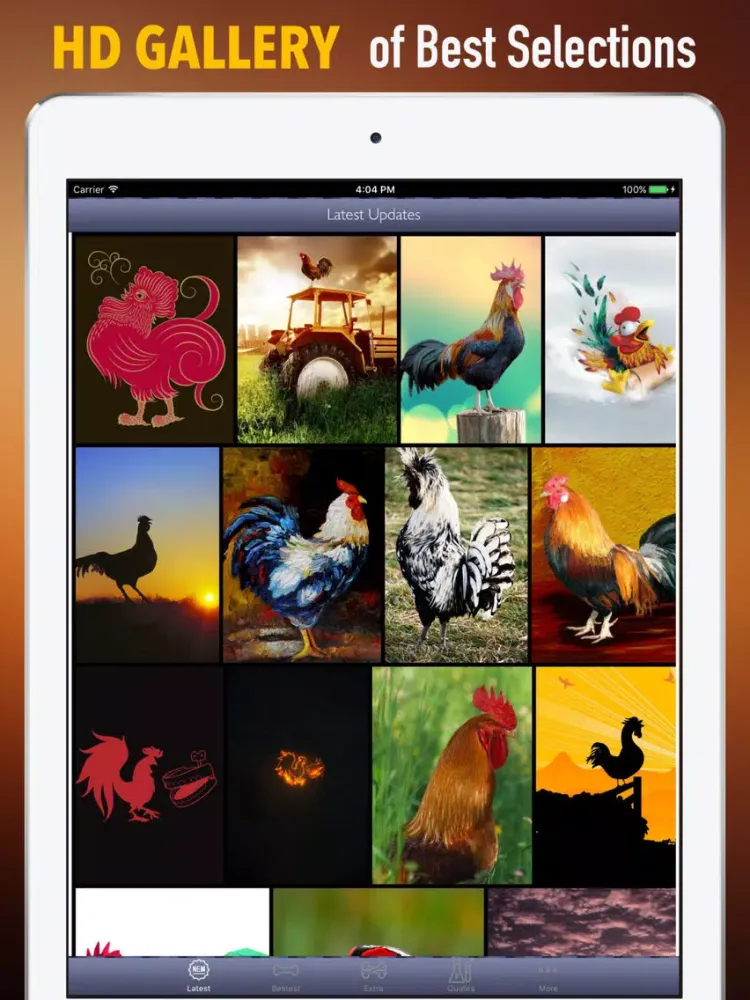ภาพหน้าจอของ Year of The Rooster Wallpapers HD- Quotes and Art iPad 