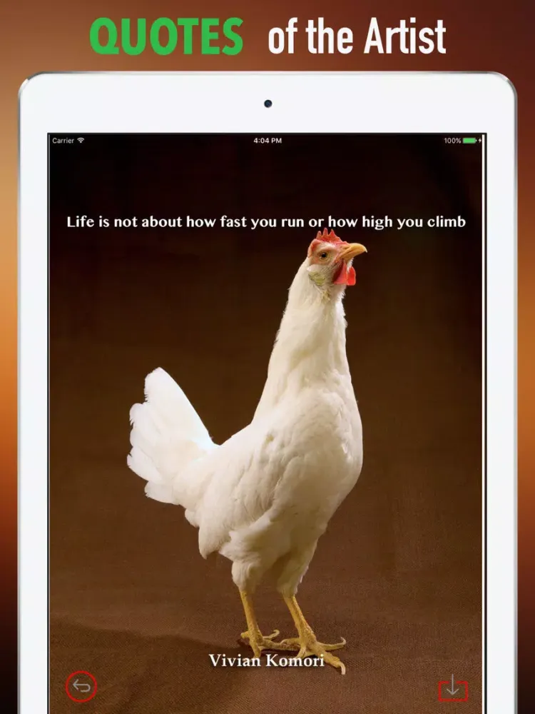 ภาพหน้าจอของ Year of The Rooster Wallpapers HD- Quotes and Art iPad 