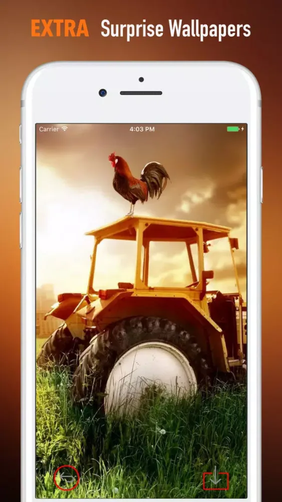 ภาพหน้าจอของ Year of The Rooster Wallpapers HD- Quotes and Art