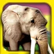 Safari Run Free - Wild Animal Jam Running Survival Games for Kids Safari Run Free - Wild Animal Jam Running Survival Games for Kids