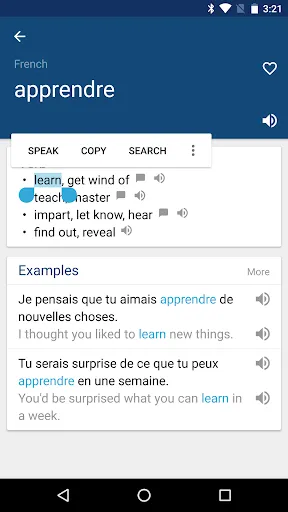 French English Dictionary Screenshots