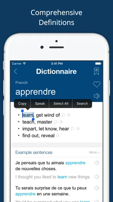 صور French English Dictionary Pro