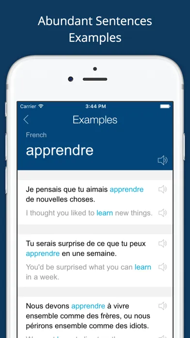 صور French English Dictionary Pro