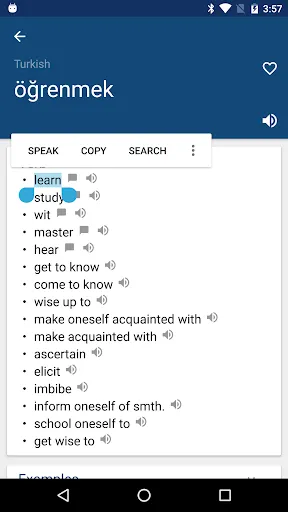 Ảnh chụp màn hình của Turkish English Dictionary