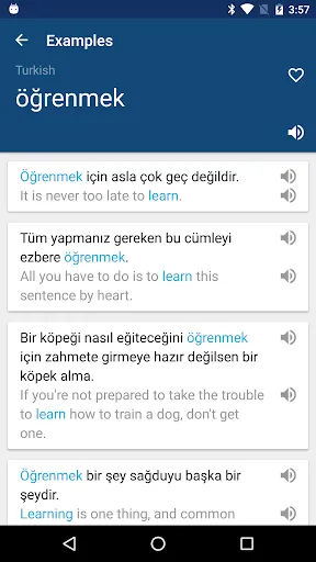 Ảnh chụp màn hình của Turkish English Dictionary