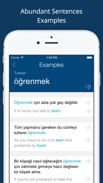Captures d'écran de Turkish English Dictionary Pro