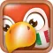 Learn Italian Phrases & Words