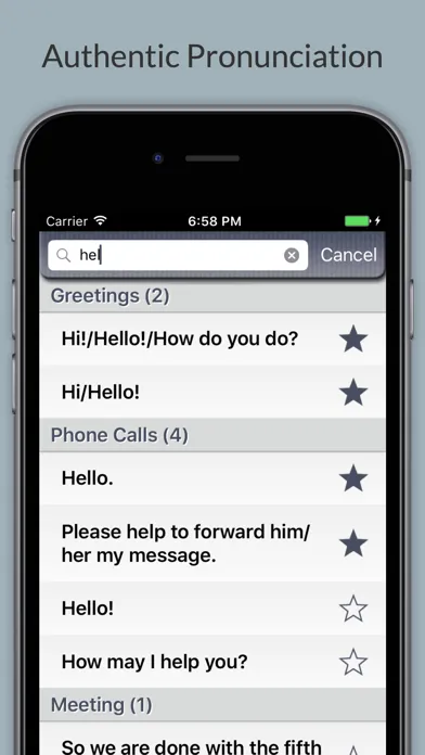 Business Chinese - Phrases, Words & Vocabulary Screenshots