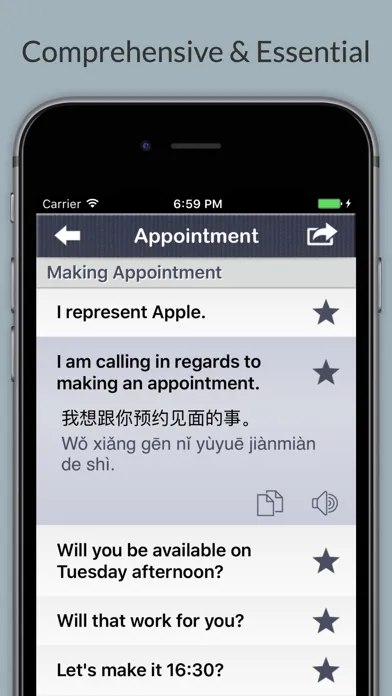 Business Chinese - Phrases, Words & Vocabulary Screenshots