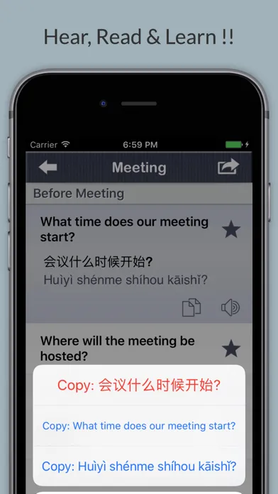 Business Chinese - Phrases, Words & Vocabulary Screenshots