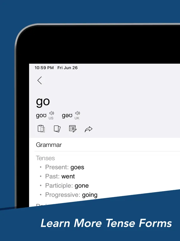 Screenshot di Dictionary & Translator iPad 