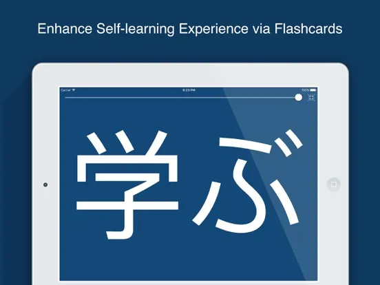 Japanese English Dictionary + iPad 应用截图
