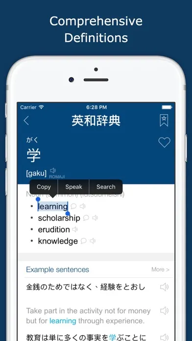 Japanese English Dictionary +应用截图