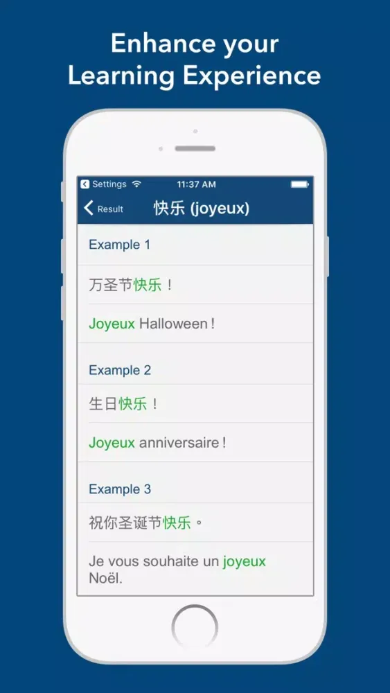 Chinese French Dictionary 法中字典 स्क्रीनशॉट