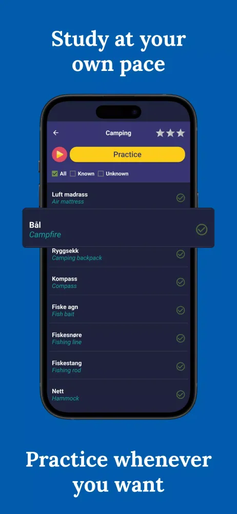 Learn Norwegian应用截图