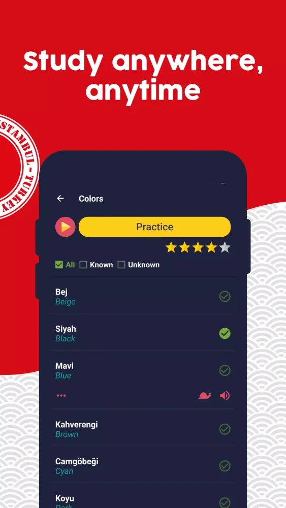 Learn Turkish应用截图